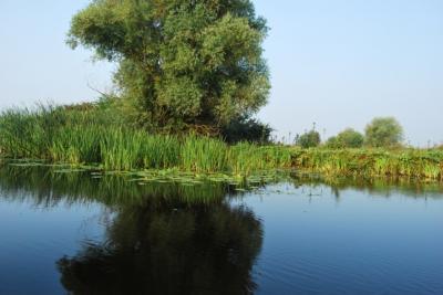 delta - image77885.jpg